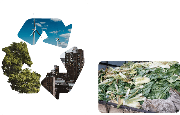 Pac-IT Stations - Insourced Packaging Solutions