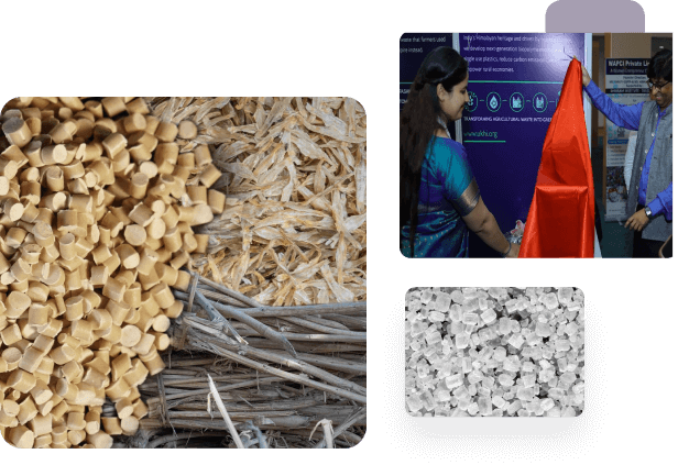 Best-In-Class Solutions